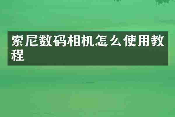 数码相机怎么使用教程