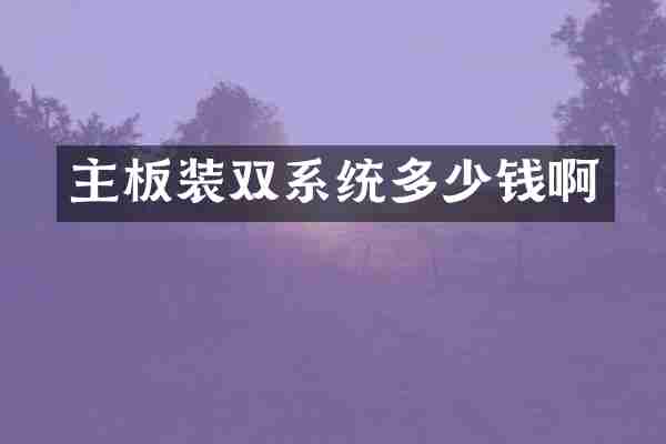 主板装双系统多少钱啊