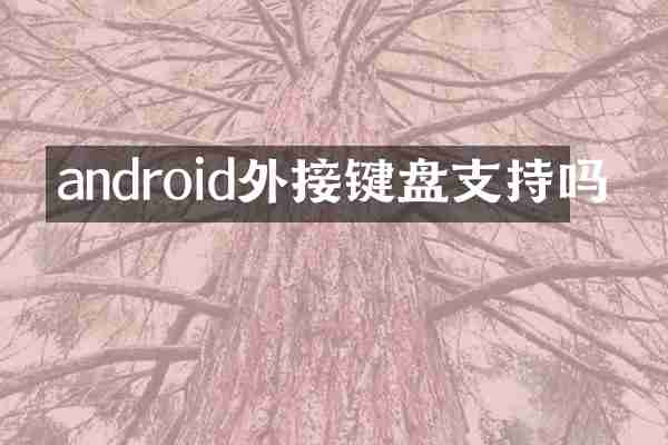 android外接键盘支持吗
