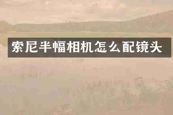 半幅相机怎么配镜头