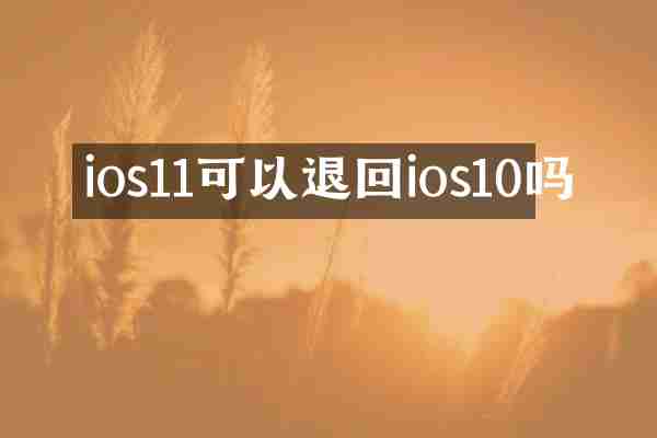 ios11可以退回ios10吗