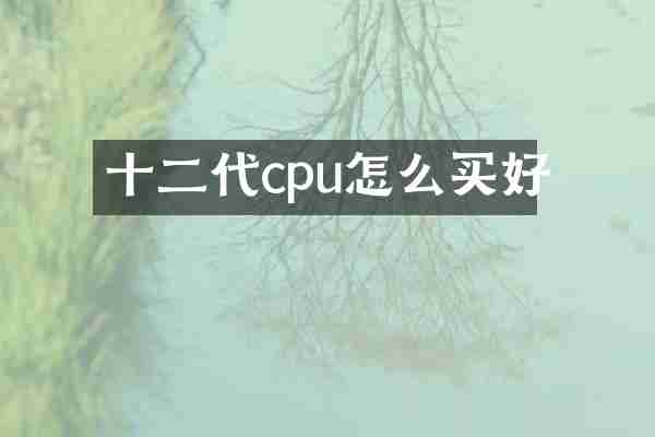 十二代cpu怎么买好