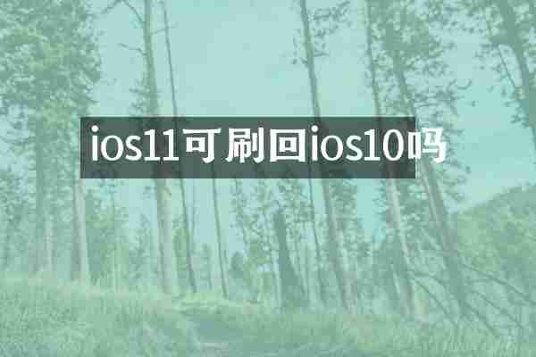 ios11可刷回ios10吗