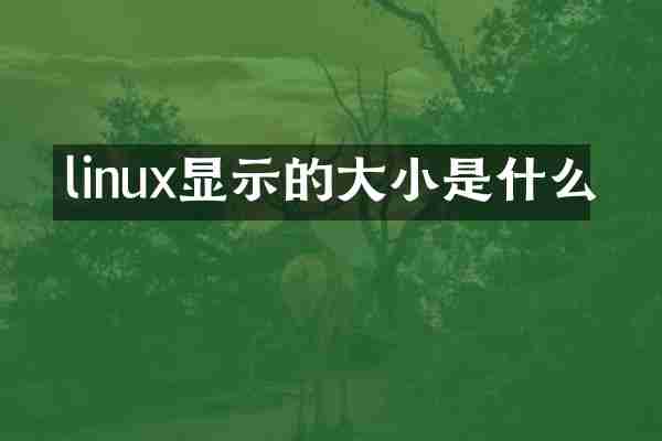 linux显示的大小是什么