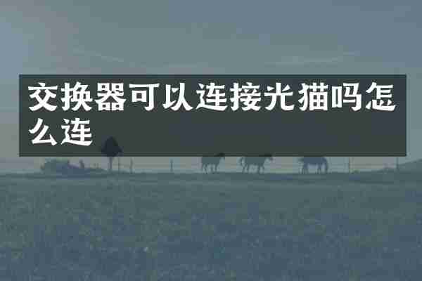 交换器可以连接光猫吗怎么连