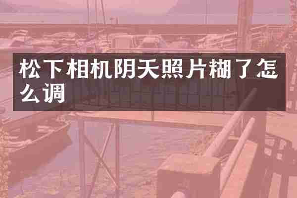 相机阴天照片糊了怎么调