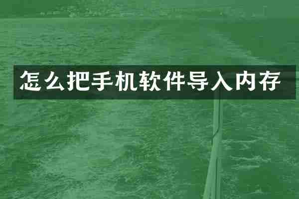 怎么把手机软件导入内存