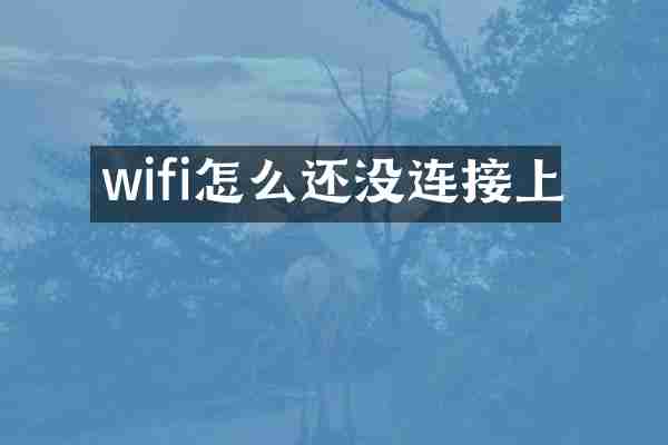 wifi怎么还没连接上