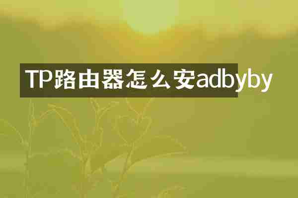 TP路由器怎么安adbyby