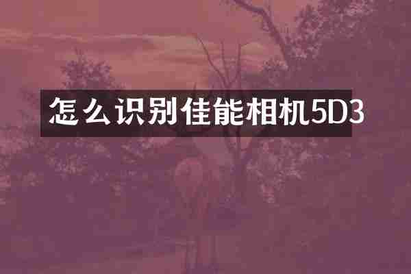 怎么识别佳能相机5D3