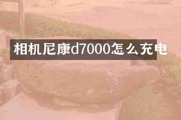 相机尼康d7000怎么充电