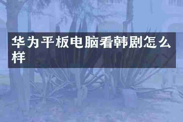 华为平板电脑看韩剧怎么样