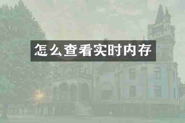 怎么查看实时内存