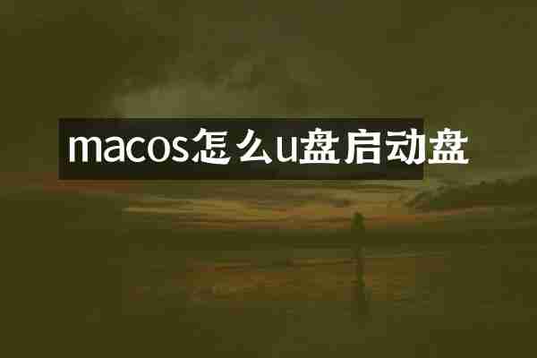 macos怎么u盘启动盘