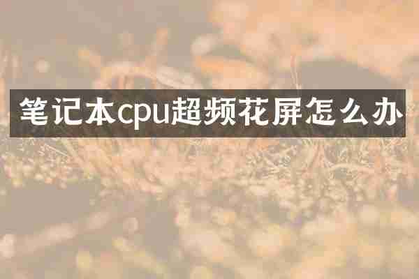 笔记本cpu超频花屏怎么办