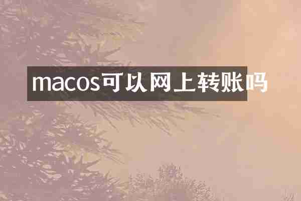 macos可以网上转账吗