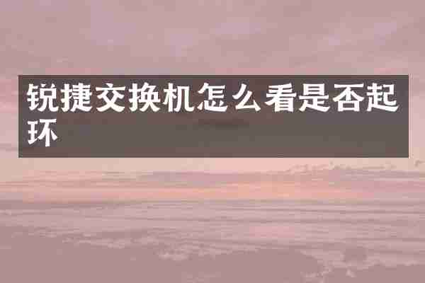 锐捷交换机怎么看是否起环