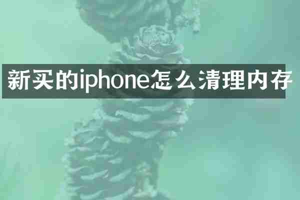 新买的iphone怎么清理内存