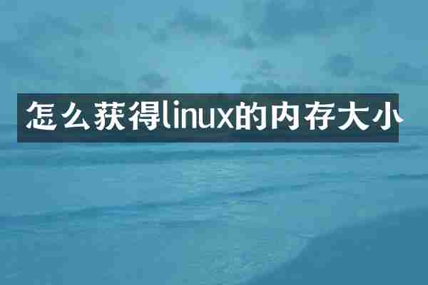 怎么获得linux的内存大小