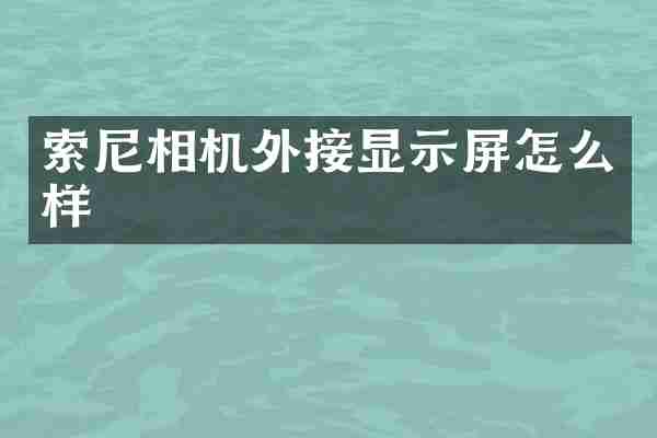 相机外接显示屏怎么样
