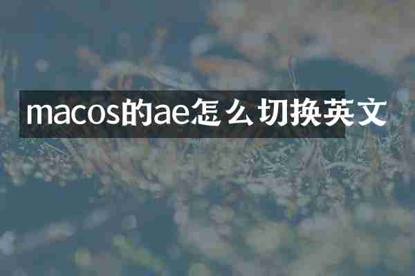 macos的ae怎么切换英文