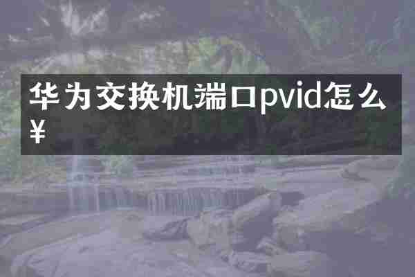 华为交换机端口pvid怎么查