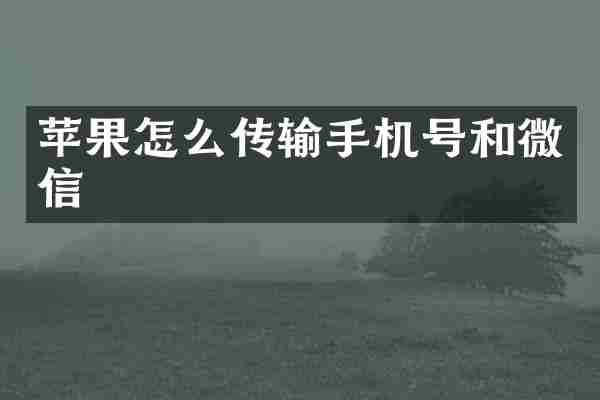 苹果怎么传输手机号和微信