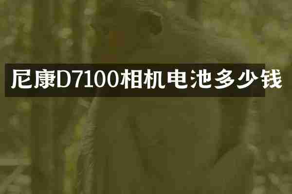 尼康D7100相机电池多少钱