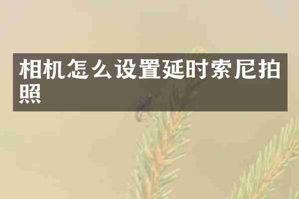 相机怎么设置延时拍照