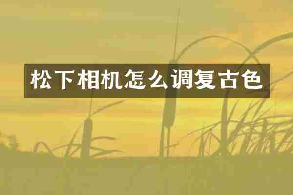 相机怎么调复古色