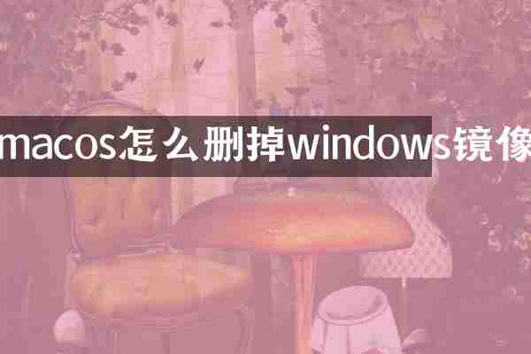 macos怎么删掉windows镜像