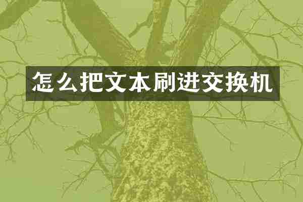 怎么把文本刷进交换机