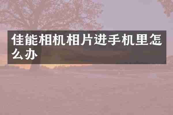 佳能相机相片进手机里怎么办