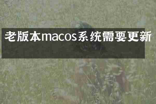 老版本macos系统需要更新吗