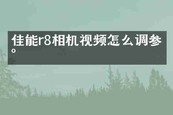 佳能r8相机视频怎么调参数