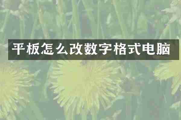 平板怎么改数字格式电脑