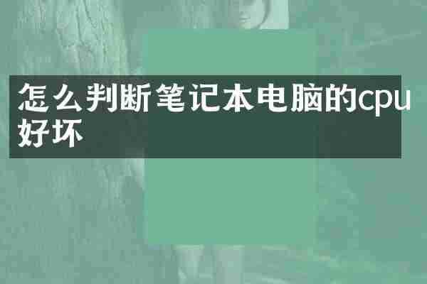 怎么判断笔记本电脑的cpu好坏