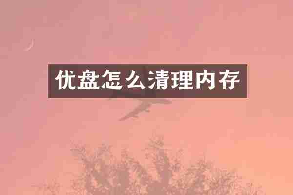 优盘怎么清理内存