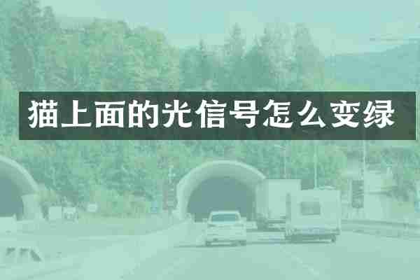 猫上面的光信号怎么变绿
