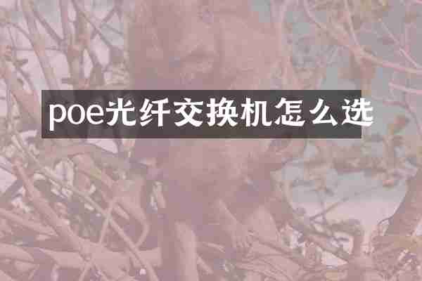 poe光纤交换机怎么选