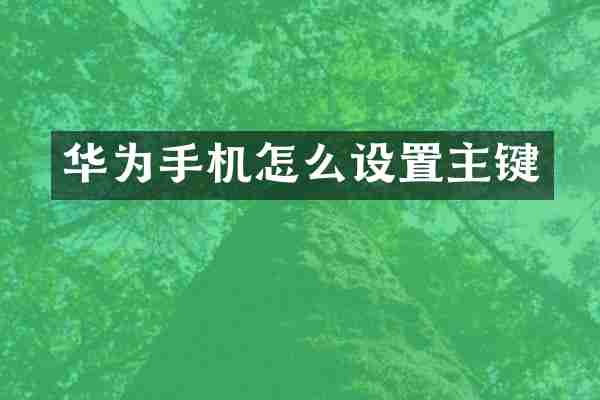 华为手机怎么设置主键