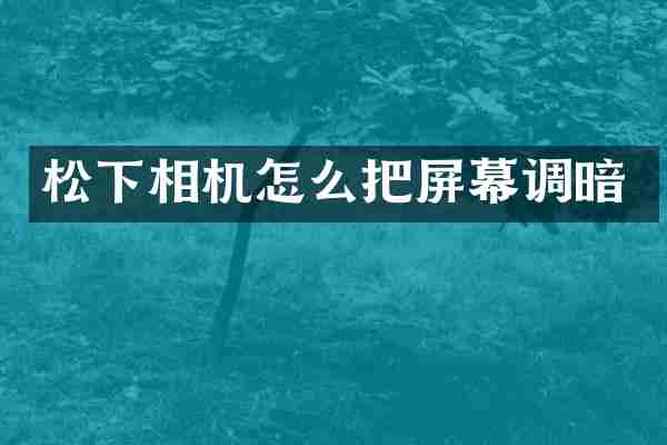 松下相机怎么把屏幕调暗