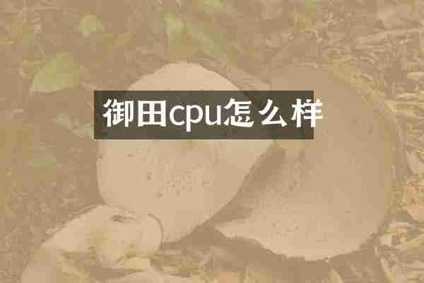 御田cpu怎么样