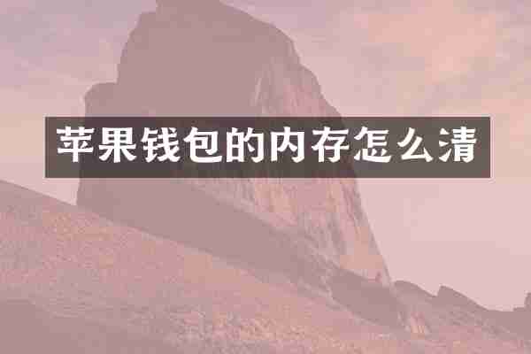 苹果钱包的内存怎么清