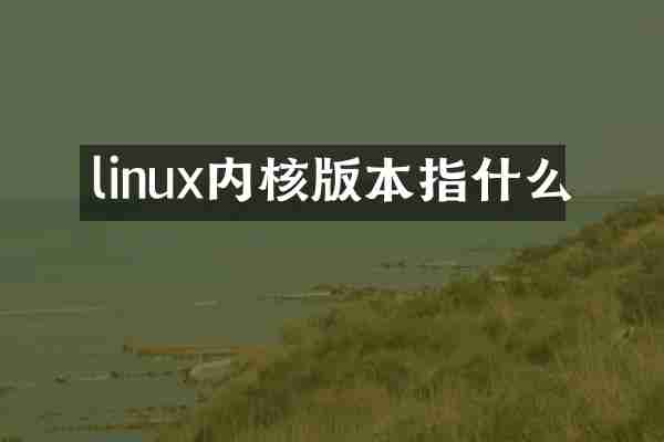 linux内核版本指什么