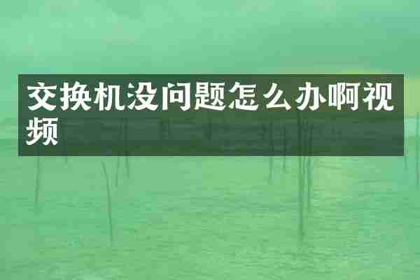 交换机没问题怎么办啊视频