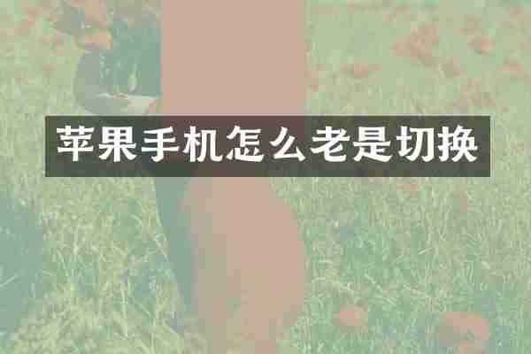苹果手机怎么老是切换