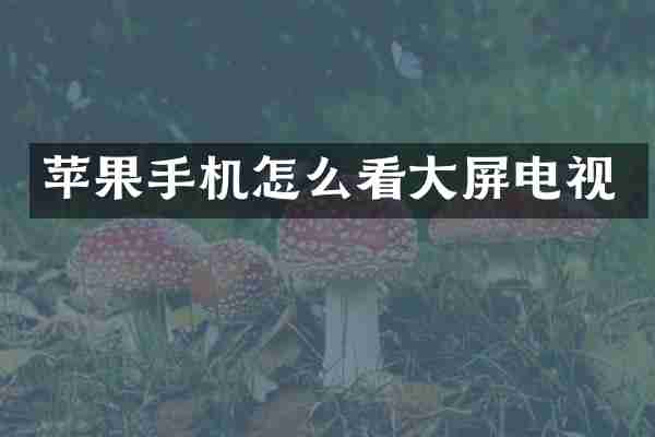 苹果手机怎么看大屏电视