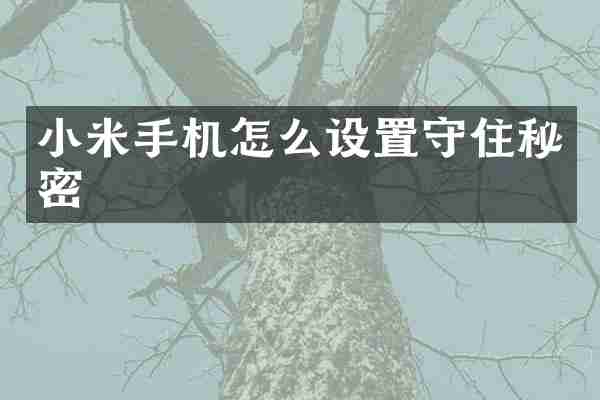 小米手机怎么设置守住秘密