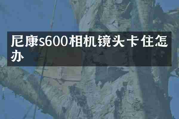 尼康s600相机镜头卡住怎么办